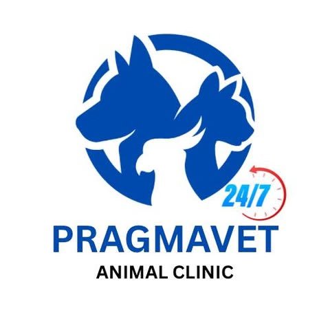 pragmavet animal clinic logo 1