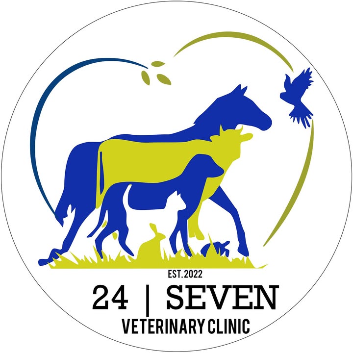 24 seven veterinary clinic amadeo logo 1